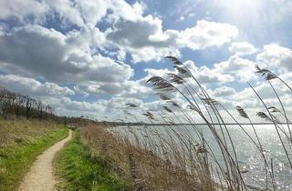 Gewerbeimmobilie kaufen in 24972 Steinberg, Baugrundstück für Tiny Houses in Ostseenähe