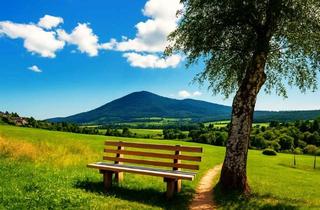 Gewerbeimmobilie kaufen in 79674 Todtnau, Rentables Hotel/Restaurant mit 24 Betten im Schwarzwald zu verkaufen