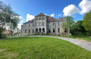 Haus kaufen in 19273 Brahlstorf, Schloss Düssin