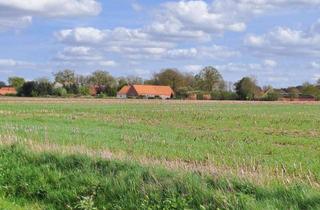 Bauernhaus kaufen in 49777 Klein Berßen, Bauernhaus mit Möglichkeit zur Pferdehaltung in Klein Berßen