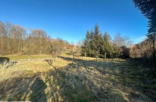 Haus kaufen in Dorfstraße 126, 02829 Königshain, Ein- / Zweifamilienhaus mit großzügigen Nebengelass in Königshain!