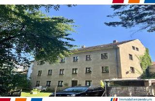 Mehrfamilienhaus kaufen in 01796 Pirna, Exklusives Mehrfamilienhaus und denkmalgeschützer Pavillon in traumhafter Lage!