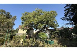 Einfamilienhaus kaufen in 64342 Seeheim-Jugenheim, ### RUHE UND FRISCHLUFT - EINFAMILIENHAUS DIREKT AM WALDRAND AUF ÜBER 650 QM GRUND ###