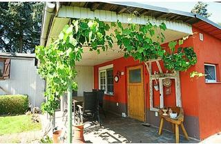 Haus kaufen in 06917 Jessen, Jessen (Elster): Freizeitgrundstück mit Sommerhaus und Bauwagen