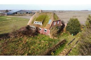 Haus kaufen in 25938 Nieblum, Am Rande von Nieblum - Sanierungsbedürftiges Reetdachhaus auf großem Grundstück