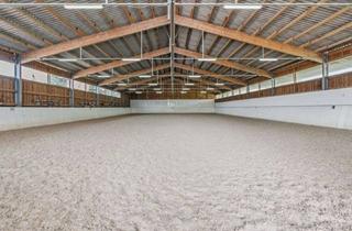 Haus kaufen in 87755 Kirchhaslach, Exklusive Reitanlage mit drei Wohnhäusern, Reithalle und hochwertiger Ausstattung