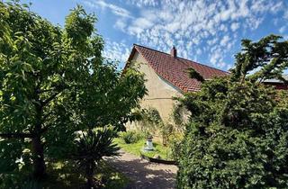Einfamilienhaus kaufen in 03058 Neuhausen, Einfamilienhaus mit einer Einliegerwohnung und mit einem großen Garten in Koppatz zu verkaufen!