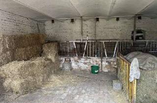Bauernhaus kaufen in 03238 Finsterwalde, Bauernhof mit landwirtschaftlicher Fläche