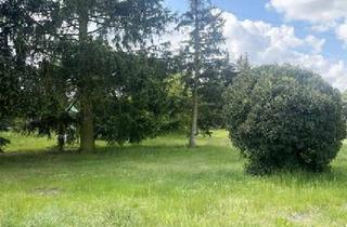 Einfamilienhaus kaufen in 03253 Tröbitz, Einfamilienhaus - Bezugsfrei