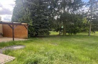 Einfamilienhaus kaufen in 03253 Tröbitz, Viel Platz zum fairen Preis