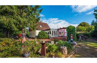 Einfamilienhaus kaufen in 29328 Faßberg, Gepflegtes Einfamilienhaus mit großem Grundstück in Faßberg