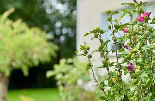 Haus kaufen in 16278 Angermünde, Großzügiges Anwesen mit Obstgarten, Ackerland & ausbaufähigem Dachboden
