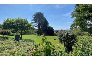 Villa kaufen in 63755 Alzenau, Elegante Villa mit aussergewöhnlichem Ausblick