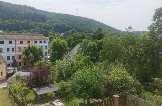 Einfamilienhaus kaufen in Hinterer Schlossberg, 07985 Elsterberg, Super Chance mit toller Aussicht! Kleines Einfamilienhaus sucht neue Bewohner