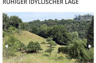 Haus kaufen in Mühlweg, 66917 Knopp-Labach, Großzügiges Baugrundstück