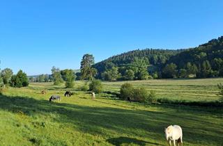 Haus kaufen in 36286 Neuenstein, Fu./Ffm gut erreichb., KITA,Reiten,Freibad,Lidl nah