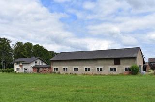 Haus kaufen in 37434 Bilshausen, Tolle Resthofstelle mit Stallungen und 1,3ha Land am Hof