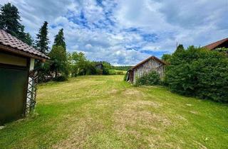 Haus kaufen in Dürnberger Straße 12, 93192 Wald, Großes Grundstück trifft auf großes Potenzial – Sanierungsbedürftiges EFH mit ca. 2.452 m² Grund