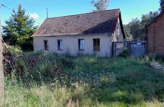 Haus kaufen in 14827 Wiesenburg, Forsthaus (quasi) Alleinlage, Nebengebäude, Tierhalter- freundliches Grundstück, nahe Berlin