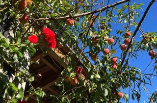 Haus kaufen in Seeseitener Straße 16, 82402 Seeshaupt, Weihnachtsangebot für Familien, stilvolles, modernisiertes EFH ca 600m zum See mit Ausbaupotential