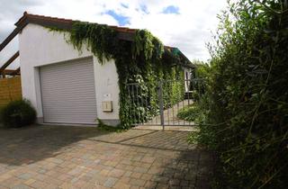 Haus kaufen in 67259 Beindersheim, Einmaliges Geschäftsanwesen mit Halle, 2 Wohnungen, Bungalow, idyll. Garten, in FT/Beindersheim !
