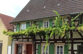 Bauernhaus kaufen in Raiffeisenstraße 22, 76872 Winden, Schnuckeliges Bauernhaus für (Selber)Macher im historischen Ortskern von Winden