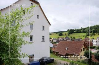 Mehrfamilienhaus kaufen in 79853 Lenzkirch, Mehrfamilienhaus "Sommerburg" in Lenzkirch