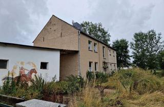 Einfamilienhaus kaufen in 39164 Groß Rodensleben, Einfamilienhaus mit Pferdestall und großem Grundstück in Wanzleben OT Bergen