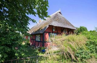 Haus kaufen in 18347 Ostseebad Wustrow, Historisches Fischlandhaus mit 2 kleinen Ferienhäusern