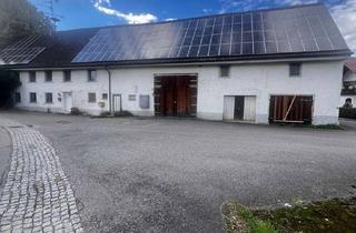 Haus kaufen in 88427 Bad Schussenried, Wohngebäude - ehemals Gaststätte mit Ökonomieteil