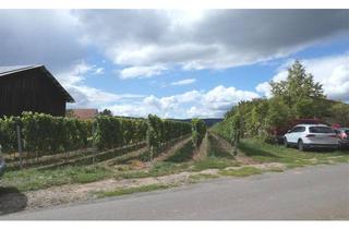 Haus kaufen in 67273 Herxheim am Berg, Wohnen an den Weinbergen - Zwei Häuser ein Preis