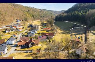 Haus kaufen in 96260 Weismain, 19.000 m² Grundstück! Saniertes EFH mit Bauplatz in der Naturidylle