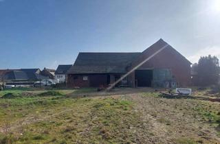 Bauernhaus kaufen in 41812 Erkelenz, Vierkant Bauernhof mit Reithalle 280 m², 15 Pferde Boxen und ca. 8664m² Grundstück