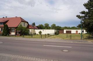 Doppelhaushälfte kaufen in 39175 Königsborn, * Doppelhaushälfte, Nebengebäude u. Bauland * - großzügiges Objekt in Königsborn