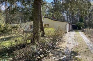 Haus kaufen in 14822 Borkheide, 2 kleine Häuschen Mitten im Grünen