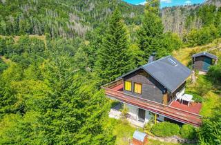 Haus kaufen in 98666 Schleusegrund, Ferienhaus - im Grünen mit exklusiver Alleinlage in Thüringen