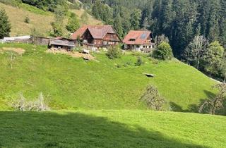 Mehrfamilienhaus kaufen in 77709 Oberwolfach, Traumhaftes Grundstück in Alleinlage mit Mehrfamilienhaus und historischen Bauernhaus