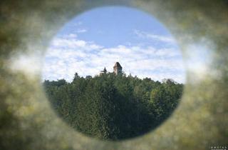Einfamilienhaus kaufen in 76891 Bundenthal, Sanierungsobjekt in Erlenbach mit einzigartigem Blick auf Burg Berwartstein