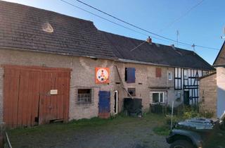 Einfamilienhaus kaufen in 57614 Woldert, Einfamilienhaus mit landwirtschaftlichen Nebengebäuden und zusätzlichem Apartement