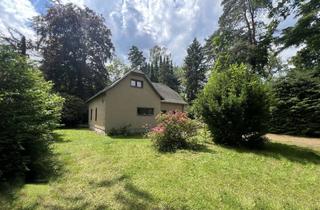 Einfamilienhaus kaufen in 04821 Brandis, Waldsteinberg – Idyllisches Grundstück mit Einfamilienhaus zum Verkauf