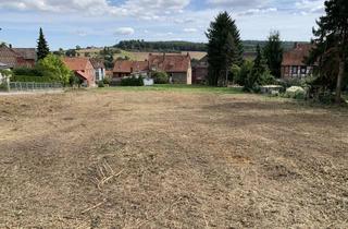 Haus kaufen in Waldstraße, 31195 Lamspringe, Inkl. Grundstück, das Haus für alle Lebensphasen in Lamspringe.