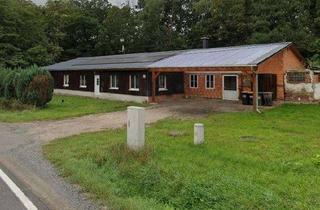 Haus kaufen in Isaak 1A, 09603 Großschirma, Wohnhaus im Grünen