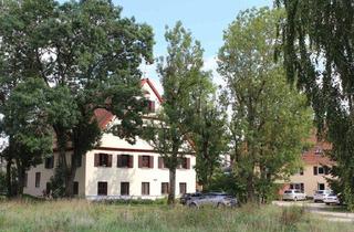 Haus kaufen in 89352 Ellzee, Aussenhof mit zwei Wohngebäuden und vielfältiger Apartmenstruktur