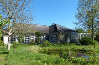 Einfamilienhaus kaufen in 27336 Rethem, Großzügiges barrierefreies Einfamilienhaus mit Wintergarten ++provisionsfrei++
