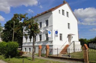 Mehrfamilienhaus kaufen in 14778 Päwesin, Mehrfamilienhaus und Doppelhaus auf einem Grundstück