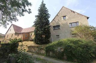 Bauernhaus kaufen in 06268 Querfurt, Idyllisch gelegener Bauernhof in Weißenschirmbach