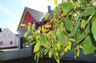 Haus mieten in 92445 Neukirchen-Balbini, OH-129-25 Einfamilienwohnhaus in Neukirchen-Balbini zu Vermieten