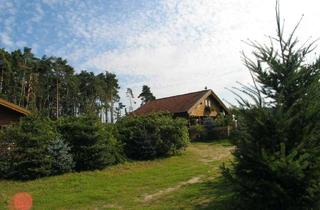 Haus mieten in Am Wald, 15377 Oberbarnim, Wohnen mit Pferden, auf Gestüt zwischen Weiden und Wald