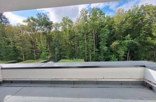 Haus mieten in 63477 Maintal, Ankommen & Wohlfühlen: modernes Doppelhaus mit exklusiver Ausstattung und grüner Energie