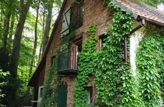 Haus mieten in Bismarckstraße, 59505 Bad Sassendorf, Idyllische Doppelhaushälfte im Schloßbezirk (Kurpark) in Bad Sassendorf